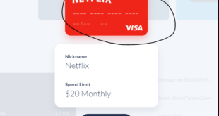 fake visa numbers to activate Netflix