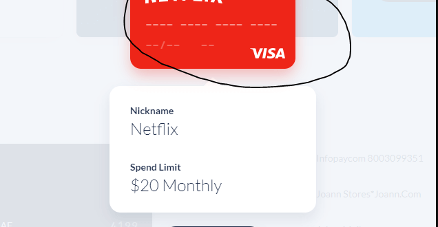 fake visa numbers to activate Netflix